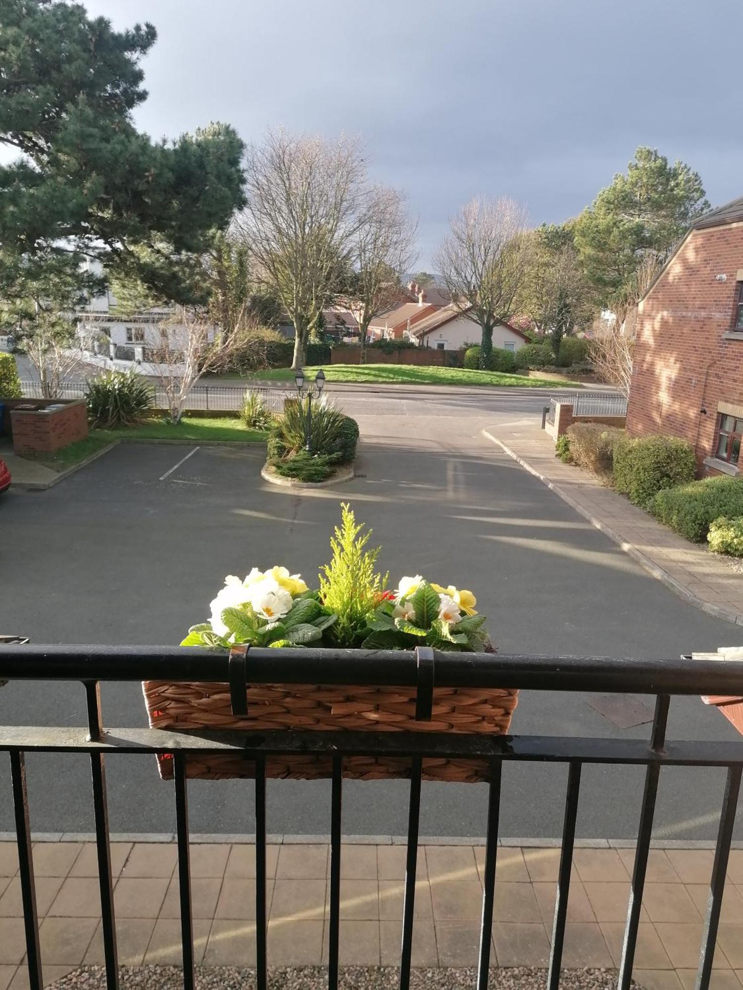 Pebble Creek Apartment Newcastle (Down)